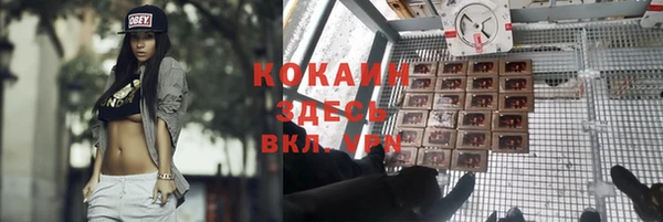 твердый Богородицк