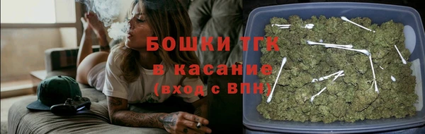 твердый Богородицк