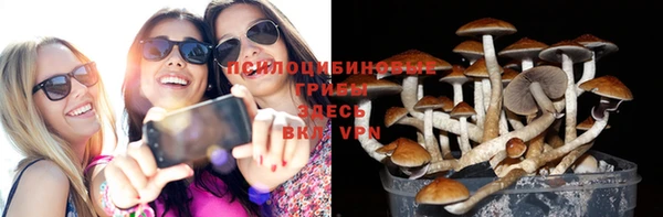бошки Богданович