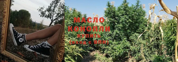 твердый Богородицк