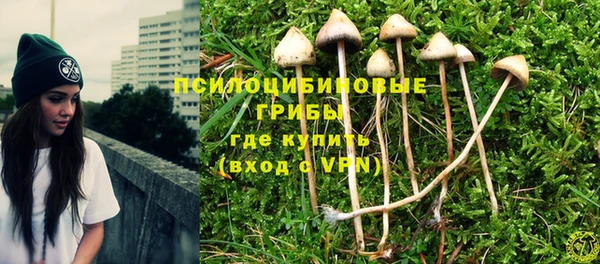 твердый Богородицк