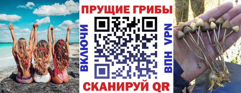 купить закладку  Черепаново  Псилоцибиновые грибы мухоморы 